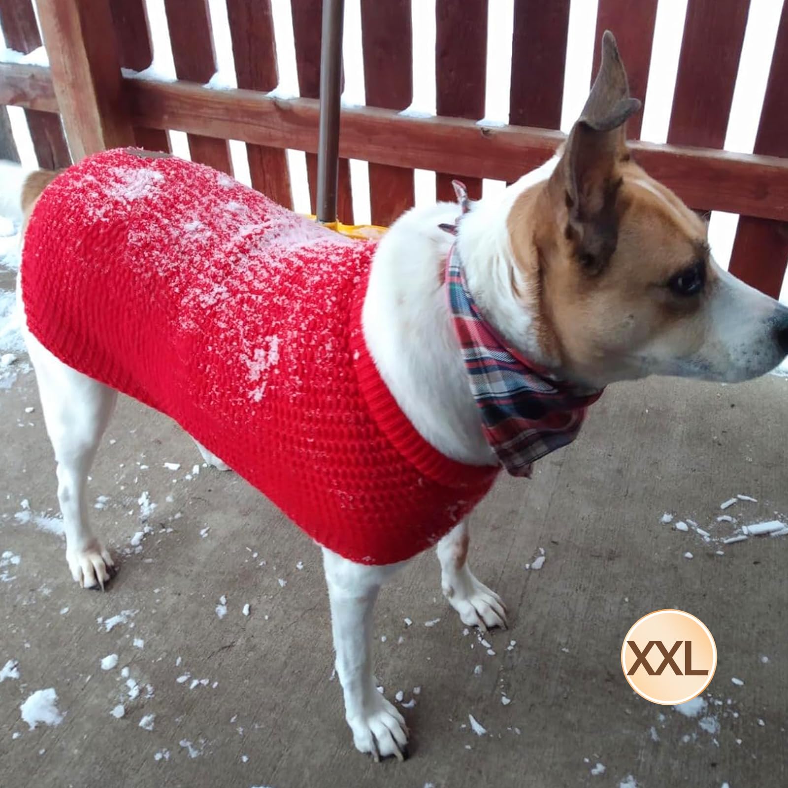 KYEESE suéter perro XXL color rojo para mayor visibilidad.