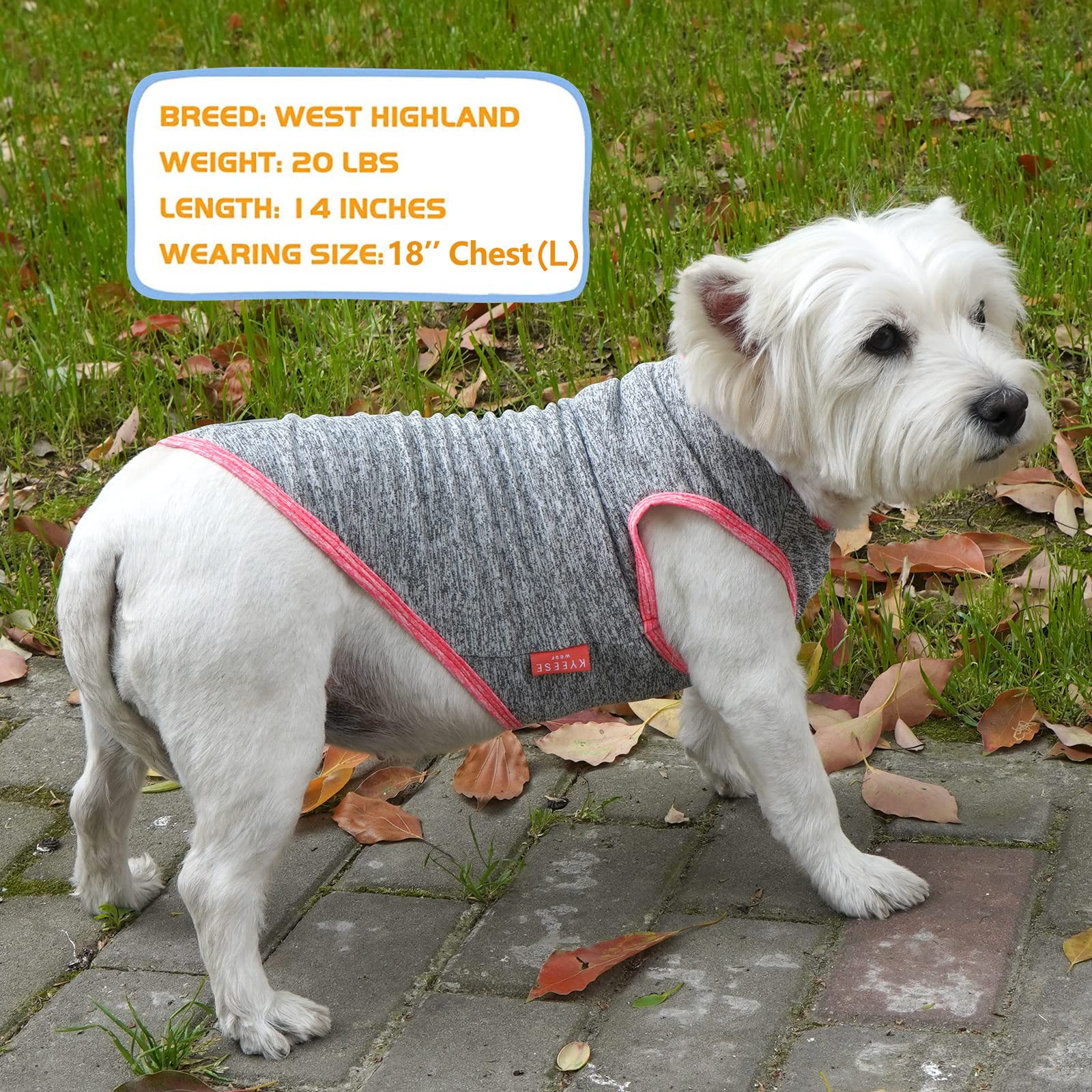 Talla XL de KYEESE para perros pequeños con pecho definido.