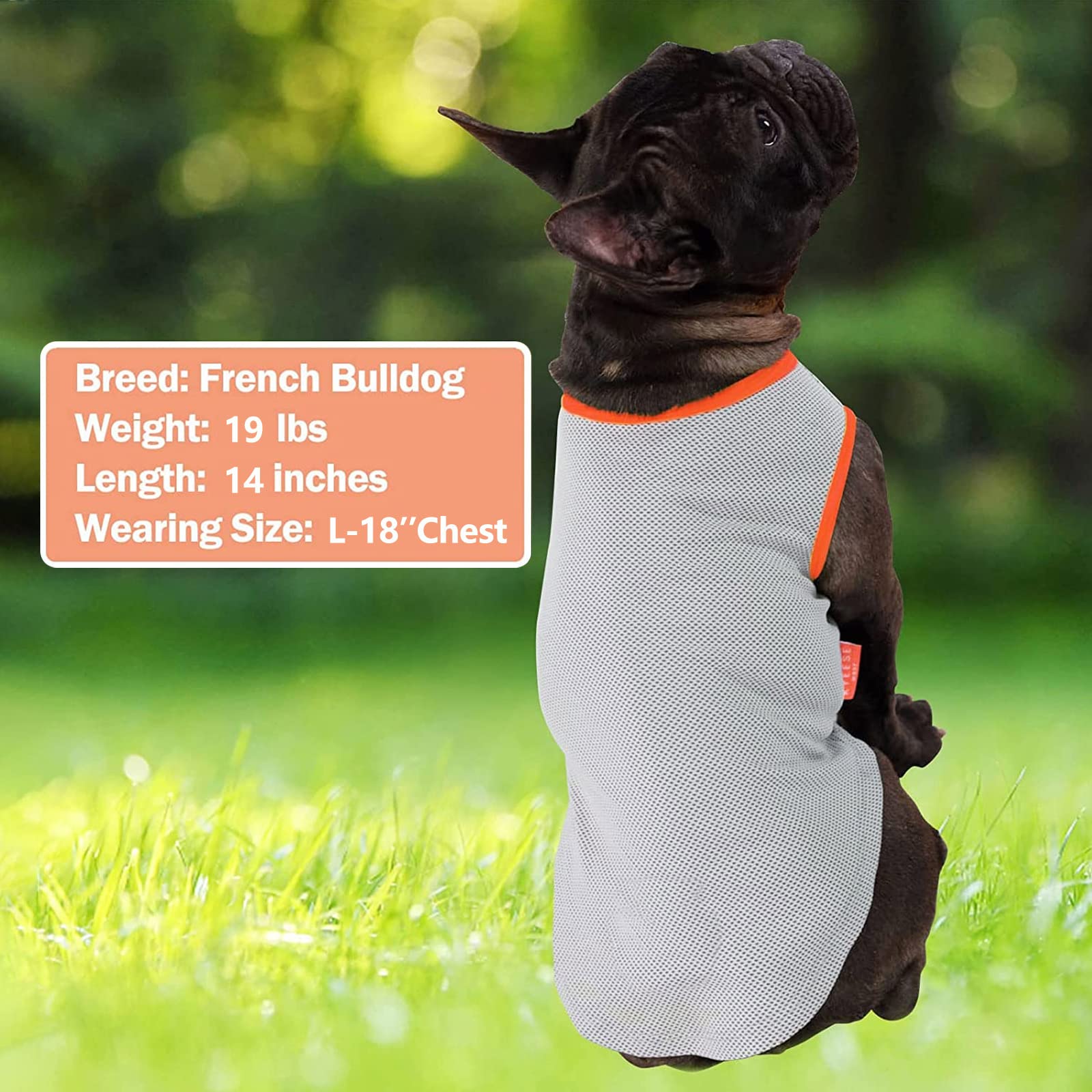 Talla mediana KYEESE para perros de tamaño medio.