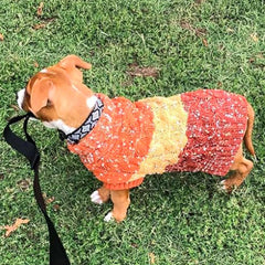 KYEESE suéter para perro pequeño diseño bloque de color para estilo diario.
