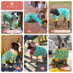 Pijama KYEESE ideal para uso diario en casa y paseos cortos.