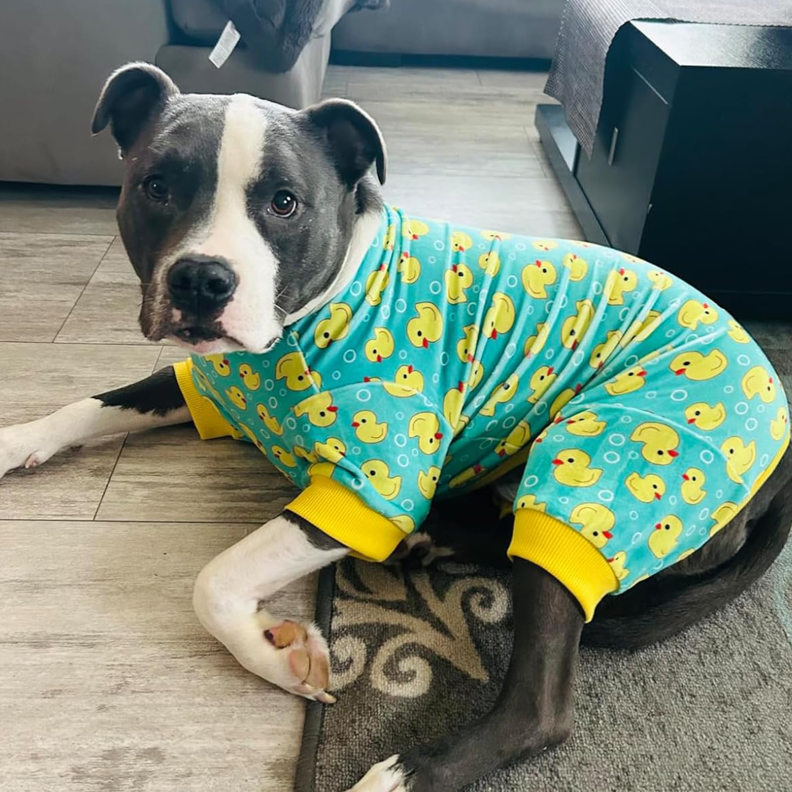 Pijama KYEESE de uso diario para perros activos, cómodo y seguro.