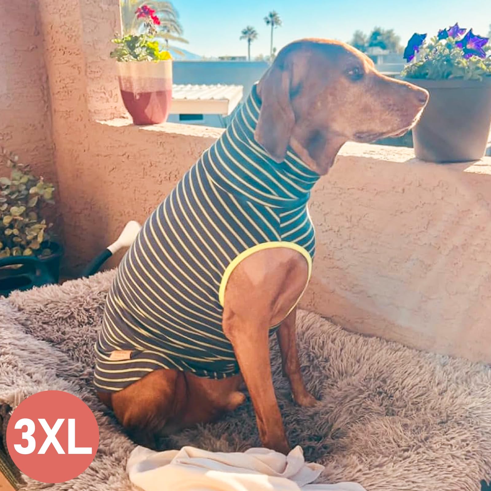 KYEESE sudadera para perro, uso interior y exterior, versatilidad para caminatas