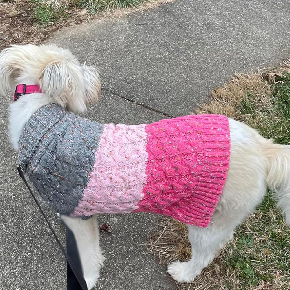 KYEESE modelo en perro luce práctico y cómodo para diario.