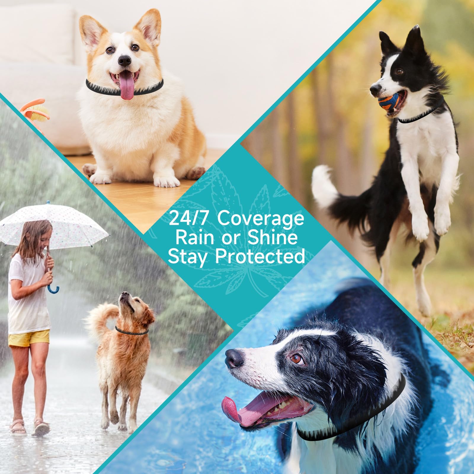 KYGNE collar antipulgas, perfecto para caminatas y actividades al aire libre