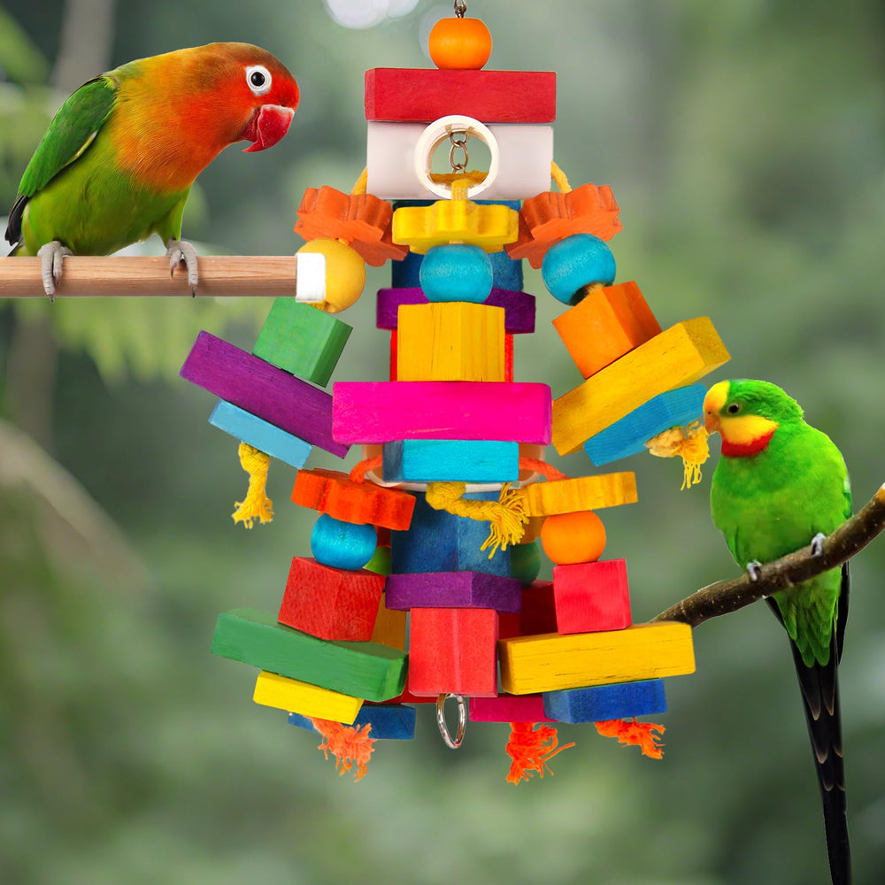 Juguete Kyouki para distracciones diarias de aves