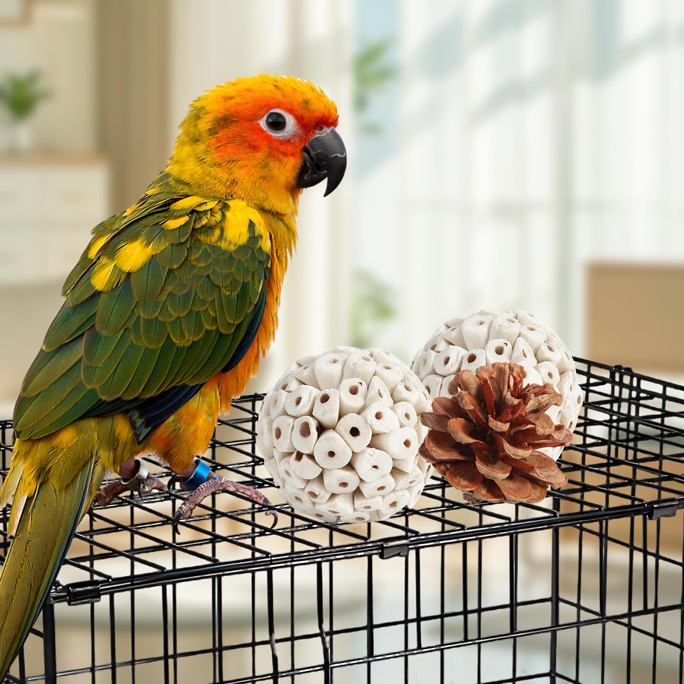 Juguetes Kyouki para aves: bolas de mimbre para rodar y jugar.