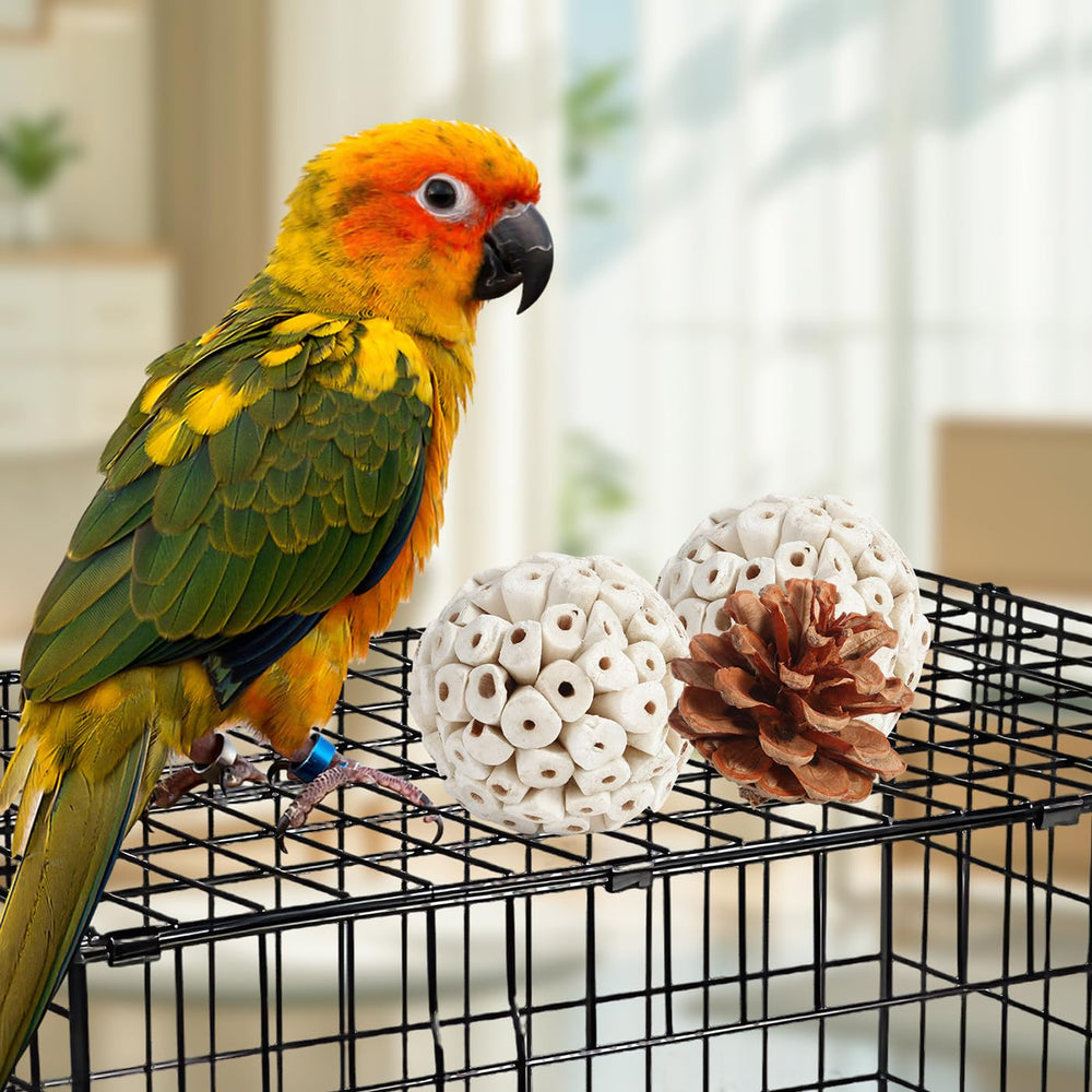 Juguetes Kyouki para aves: bolas de mimbre para rodar y jugar.