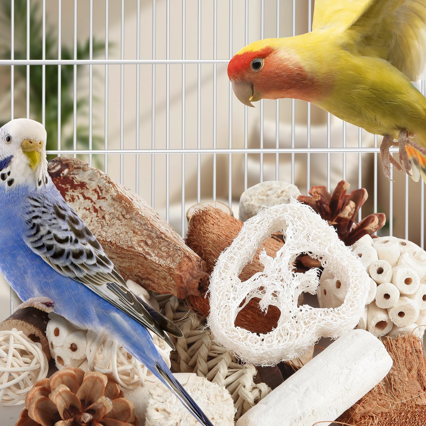 Juguetes Kyouki para aves: fibras de sola para forraje y estimulación.
