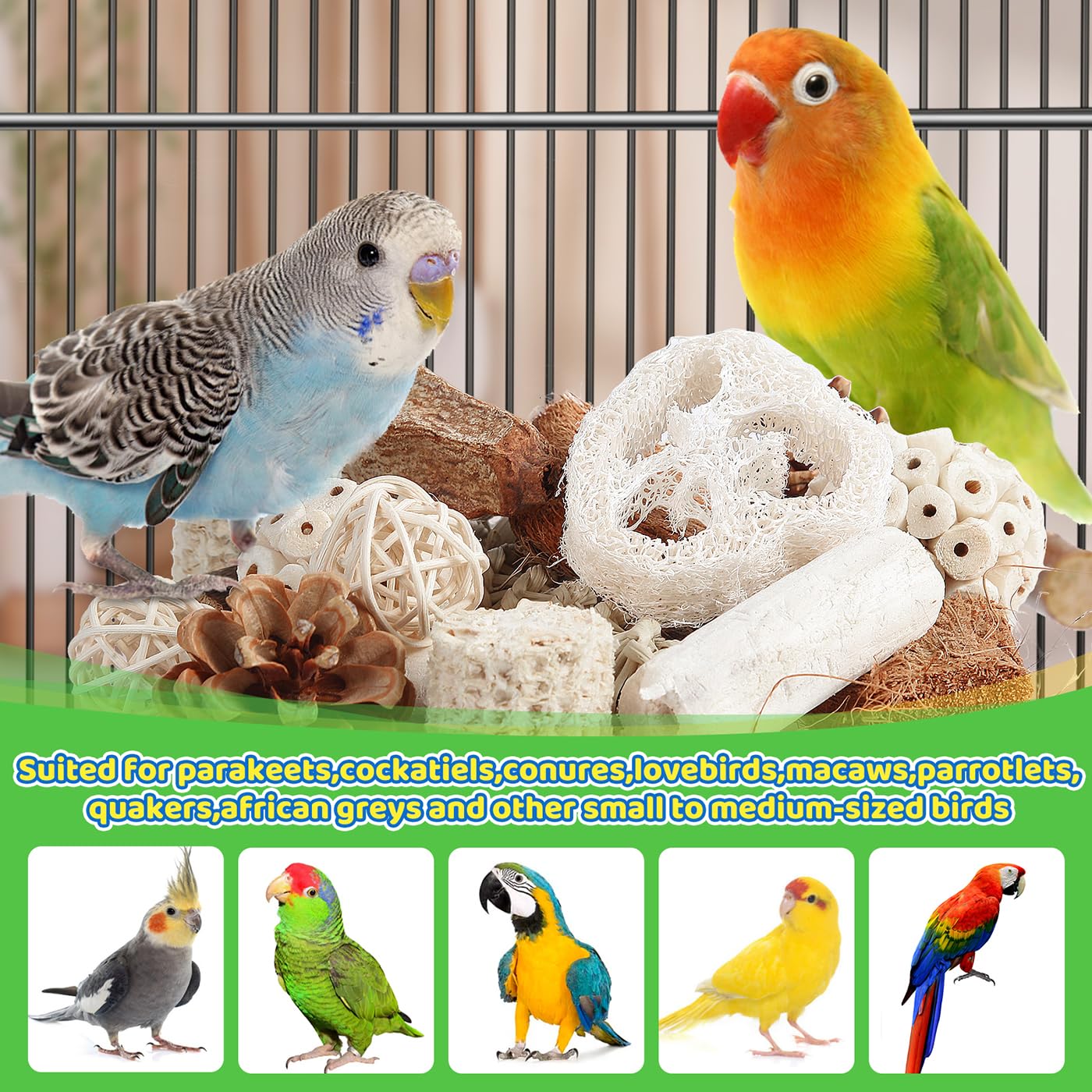 Juguetes Kyouki para aves: madera de manzana con texturas para morder y jugar.