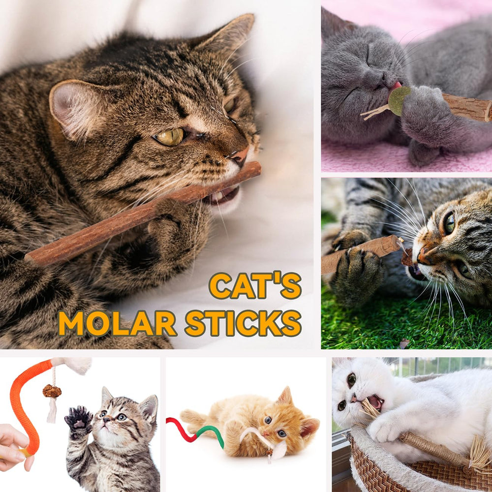 Juguete de cuerda Kyoki con catnip para gatos, ideal para juego interactivo.