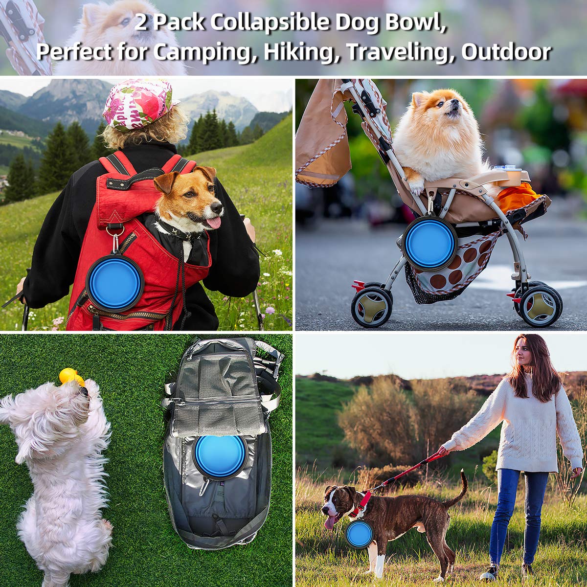 Kytely cuencos de 34 oz, aptos para desayunos y excursiones con mascotas