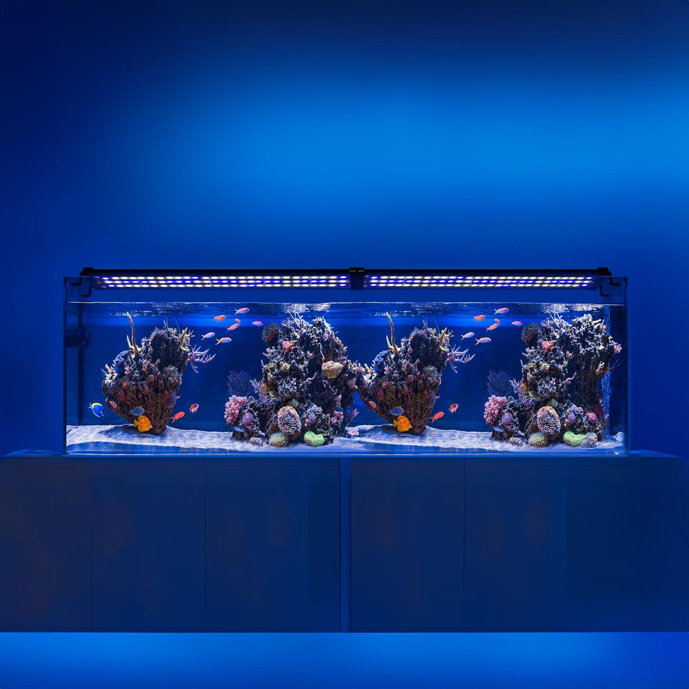 Compatibilidad para tanques de 120 a 150 cm con iluminación versátil.