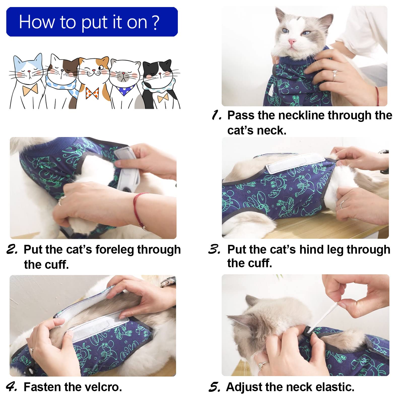 Diseño cuello elástico de kzrfojy para gatos, ponible sin irritación.