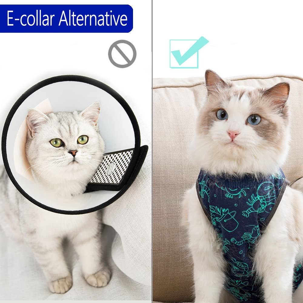 Traje de recuperación para gato talla L de kzrfojy, facilita uso del arenero.