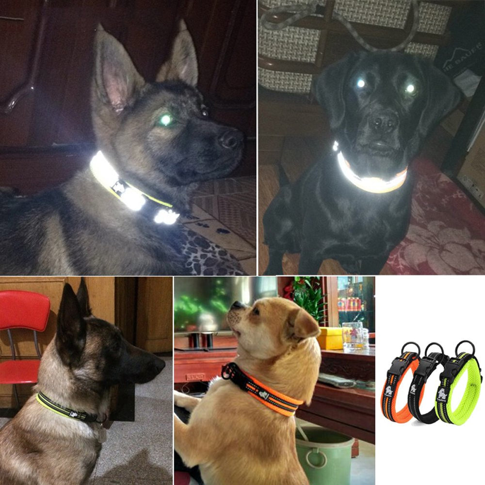 Fácil de poner y quitar para dueños y mascotas.