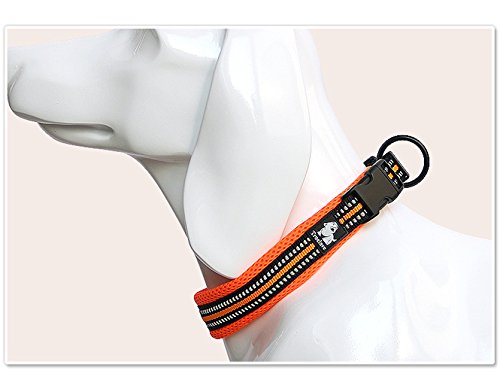 Columna de peso ligero y alta resistencia del collar La La Pet Creation Core 3M.