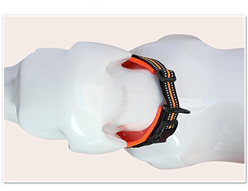 Talla XXXL del collar La La Pet Creation Core 3M para perros grandes.