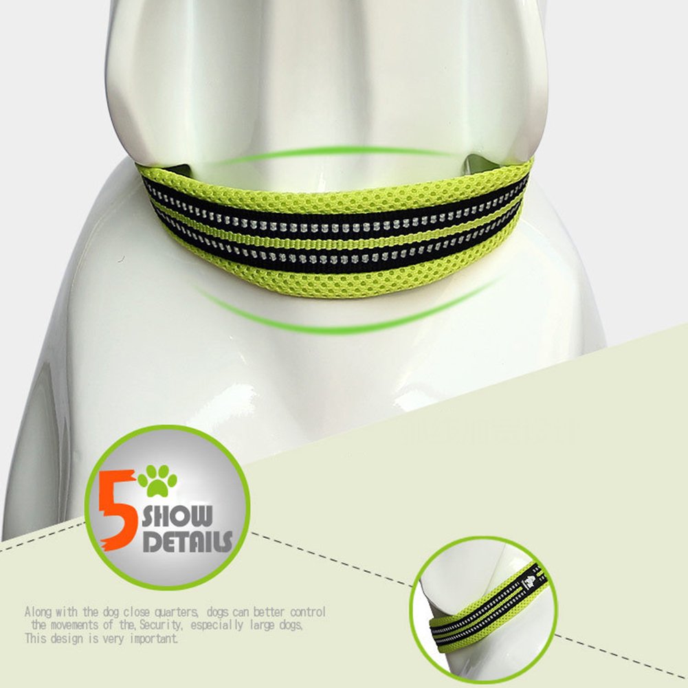 Visibilidad nocturna gracias al material reflectante del collar La La Pet Creation Core 3M.