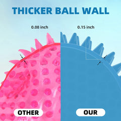 Pelota Labeol con chirrido interno, mantiene la curiosidad durante el juego.