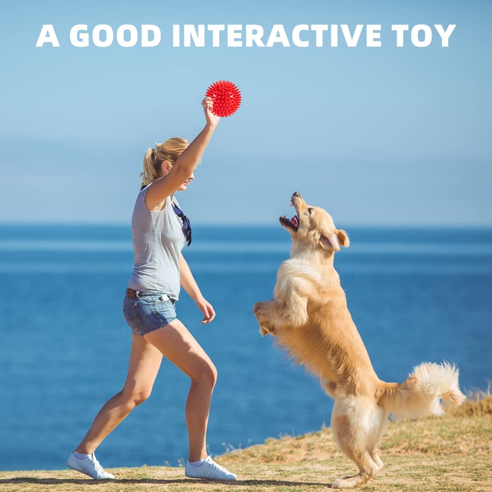 Pelota Labeol duradera para masticadores agresivos, ideal para entrenamiento diario.