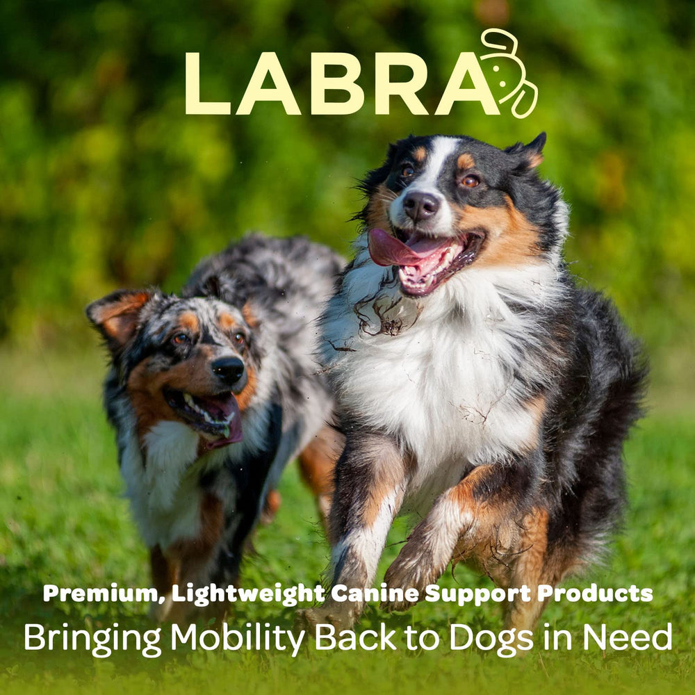 Labra cuidado de heridas y recuperación, protección diaria