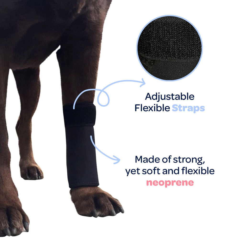 Labra neopreno 3mm: material transpirable en la faja frontal.