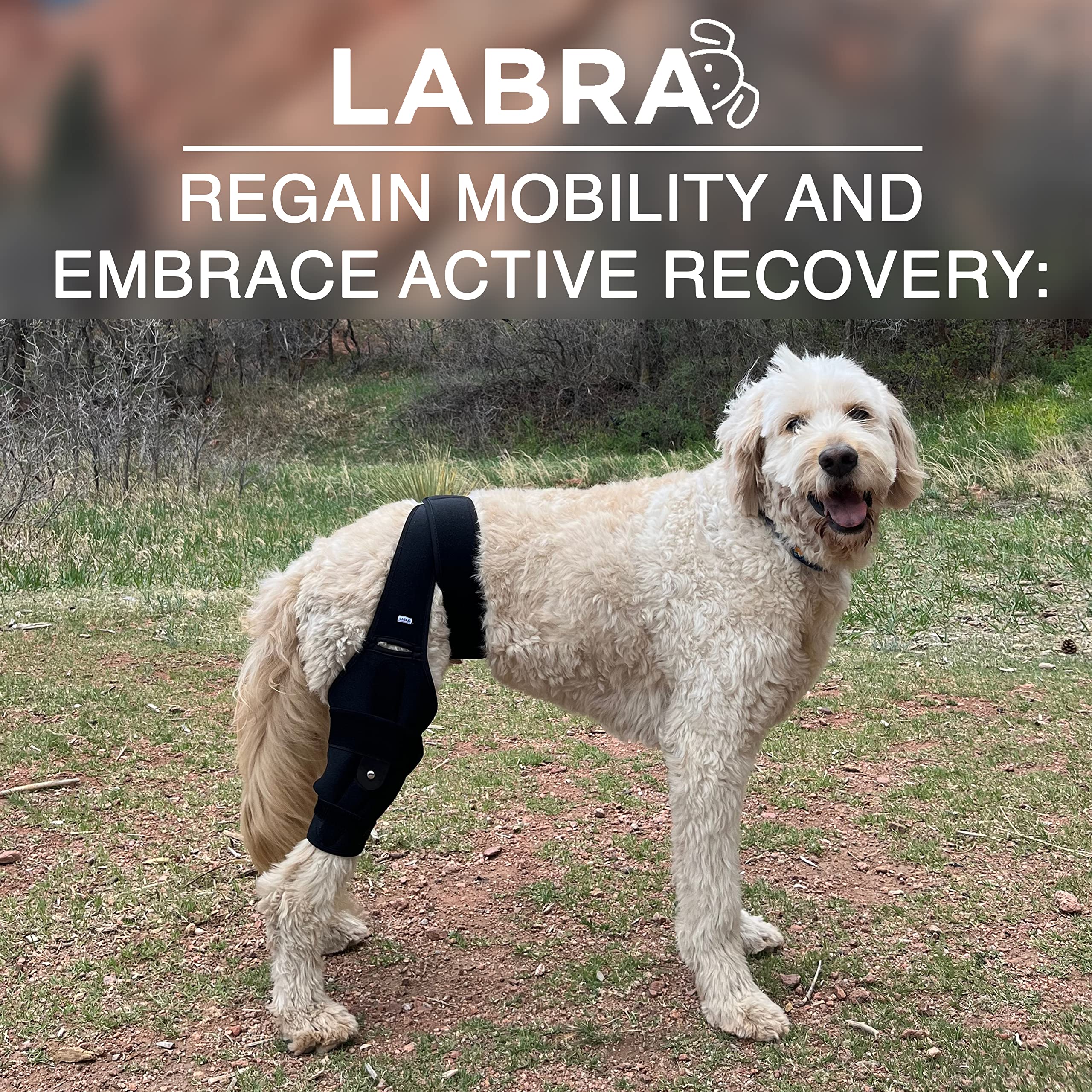 Labra mejora la movilidad diaria manteniendo el soporte necesario.