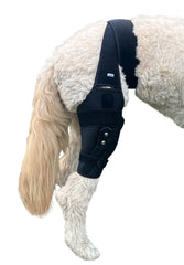 Labra rodillera para perro frente con bisagra metálica para mayor soporte durante caminatas