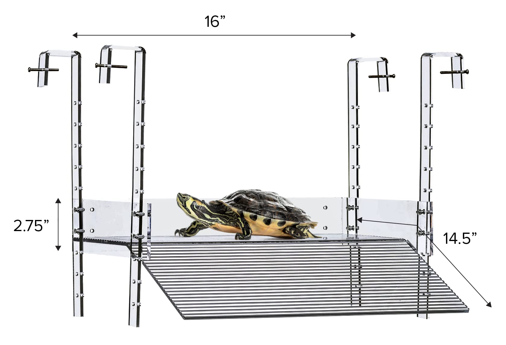 LaBrinx Designs plataforma tortuga acuario ajustable, soporte resistente para exploración