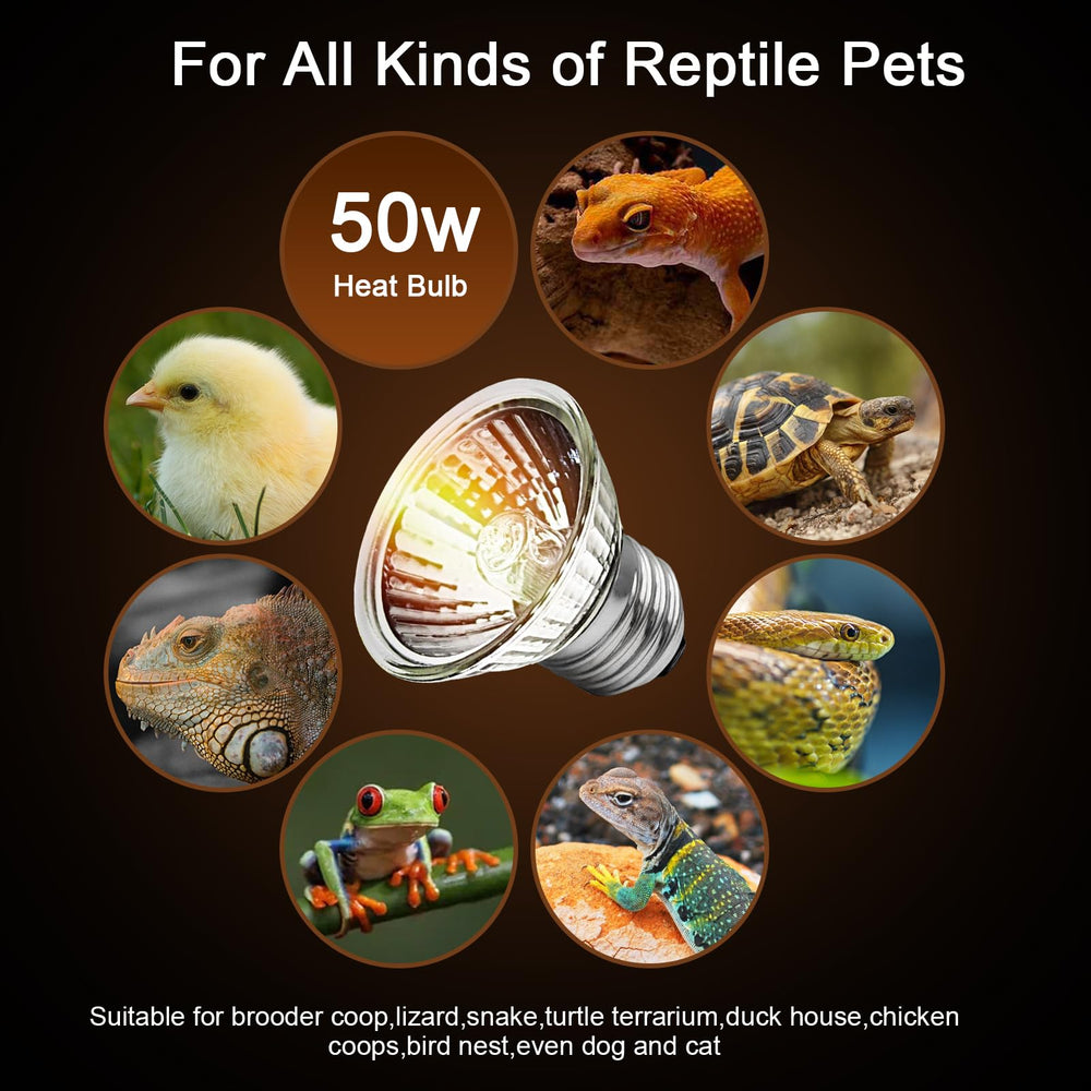 Lachesan bombilla UVA 50W en terrario para reptiles y anfibios