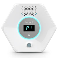 Ladnut Eliminador de olor para arenero: reduce olores de forma eficaz