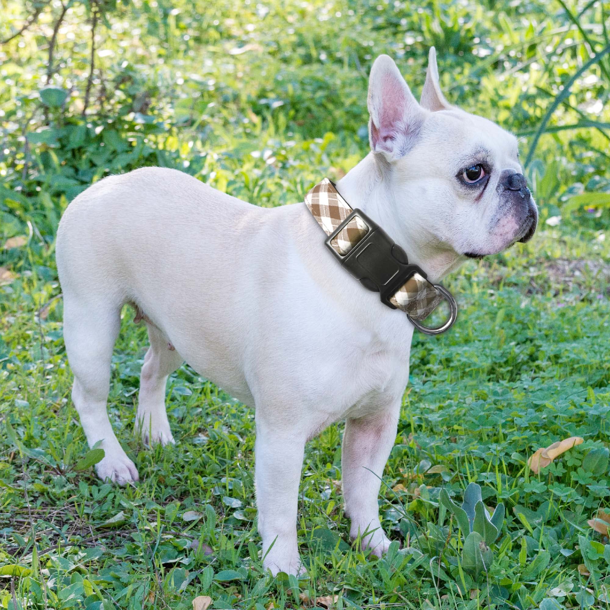 Collar Ladoogo lavable a máquina para uso diario.
