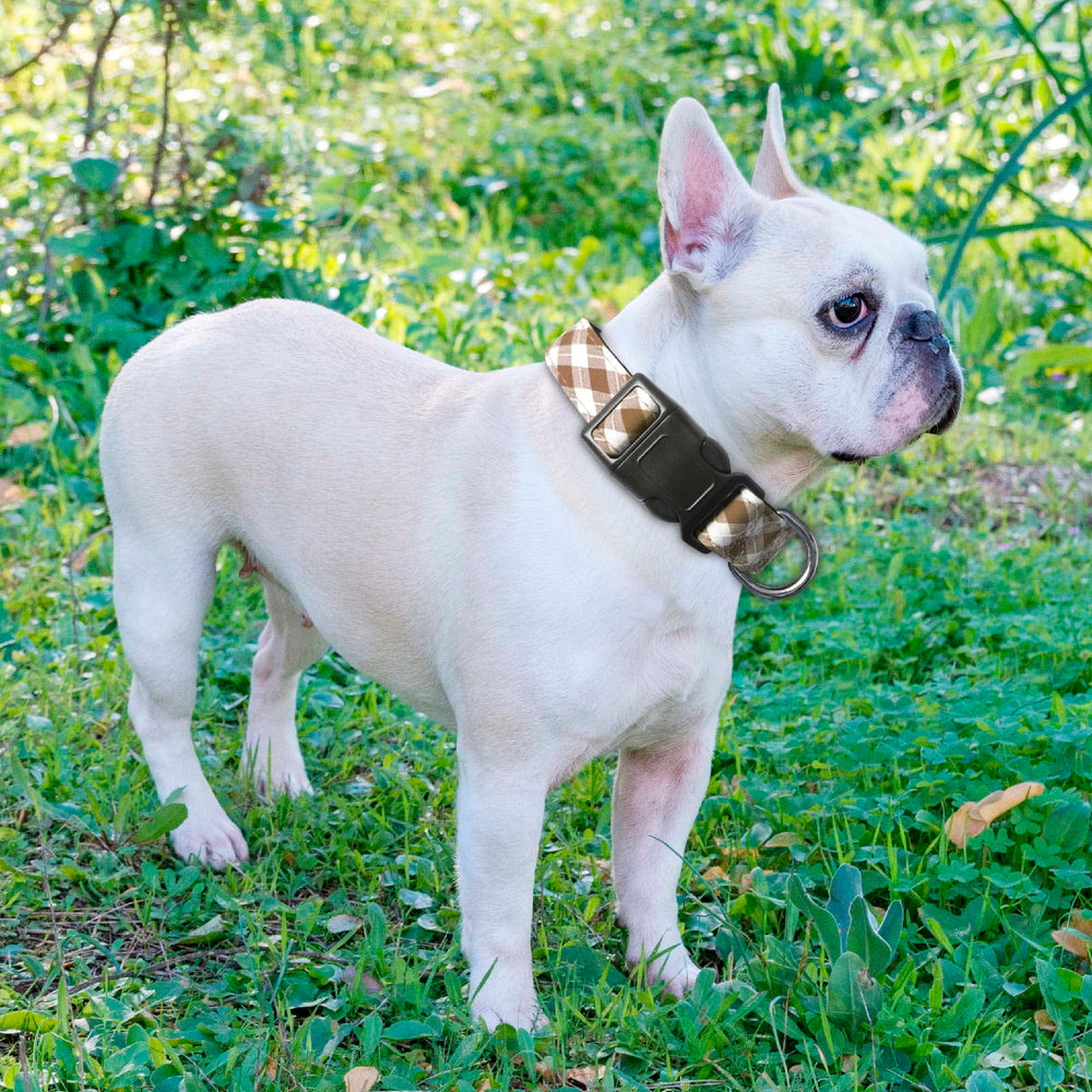 Collar Ladoogo lavable a máquina para uso diario.
