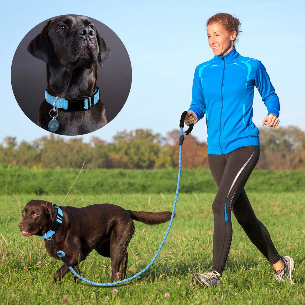 Collar ajustable Ladoogo, compatible con distintas tallas.