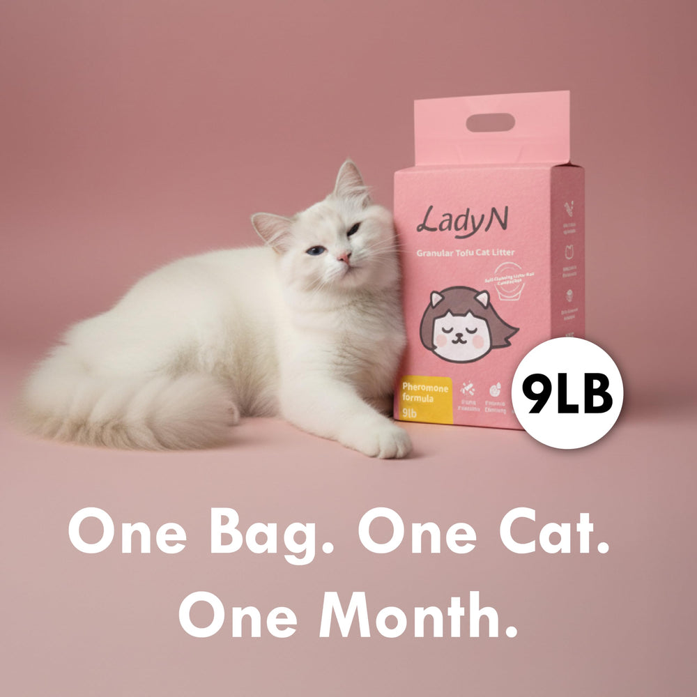 Lady N Compatibilidad con cajas auto-limpiables para múltiples gatos.
