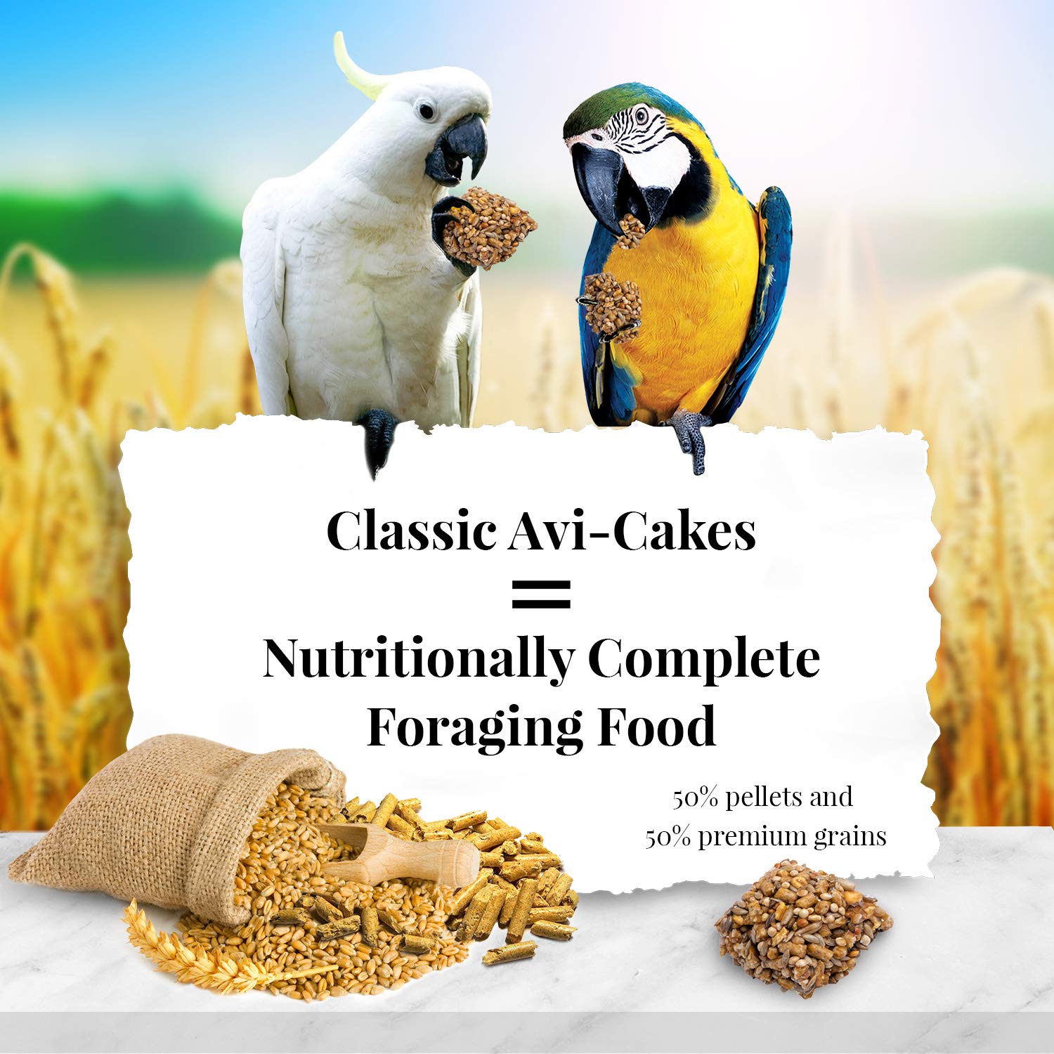 Avi-Cakes de LAFEBER'S con forma cuadrada para forraje y ejercicio del pico.