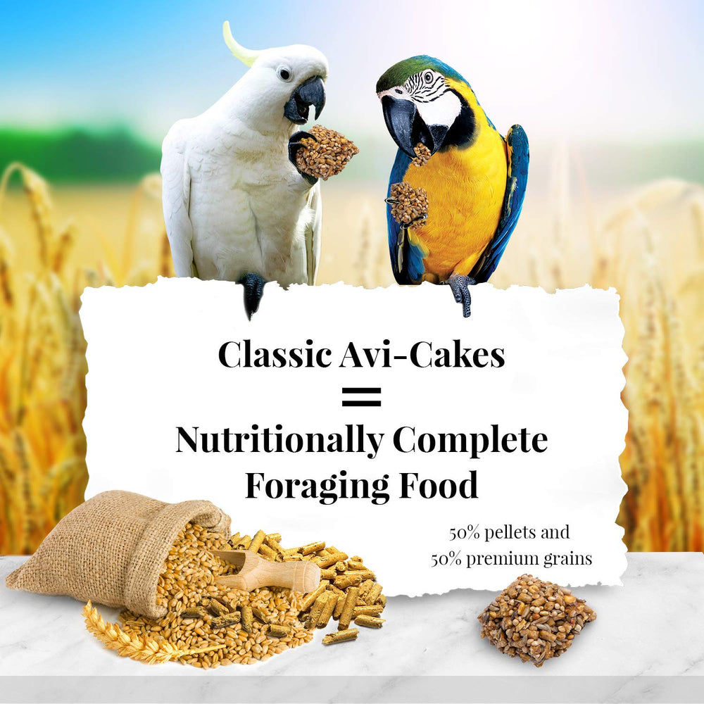 Avi-Cakes de LAFEBER'S con forma cuadrada para forraje y ejercicio del pico.