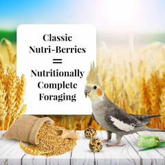 LAFEBER'S Nutri-Berries omegas 3 y 6 para plumaje saludable.
