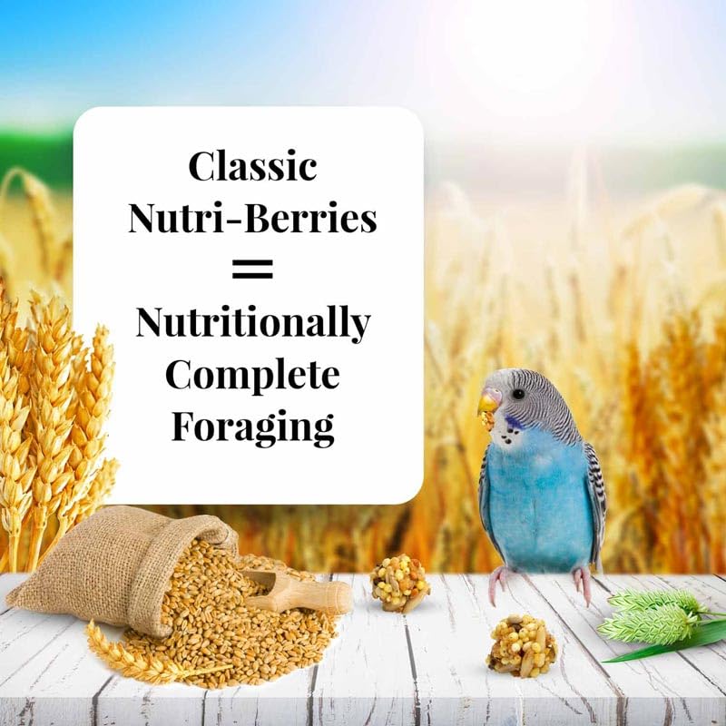 Envase de LAFEBER'S Nutri-Berries para conservación y uso diario.