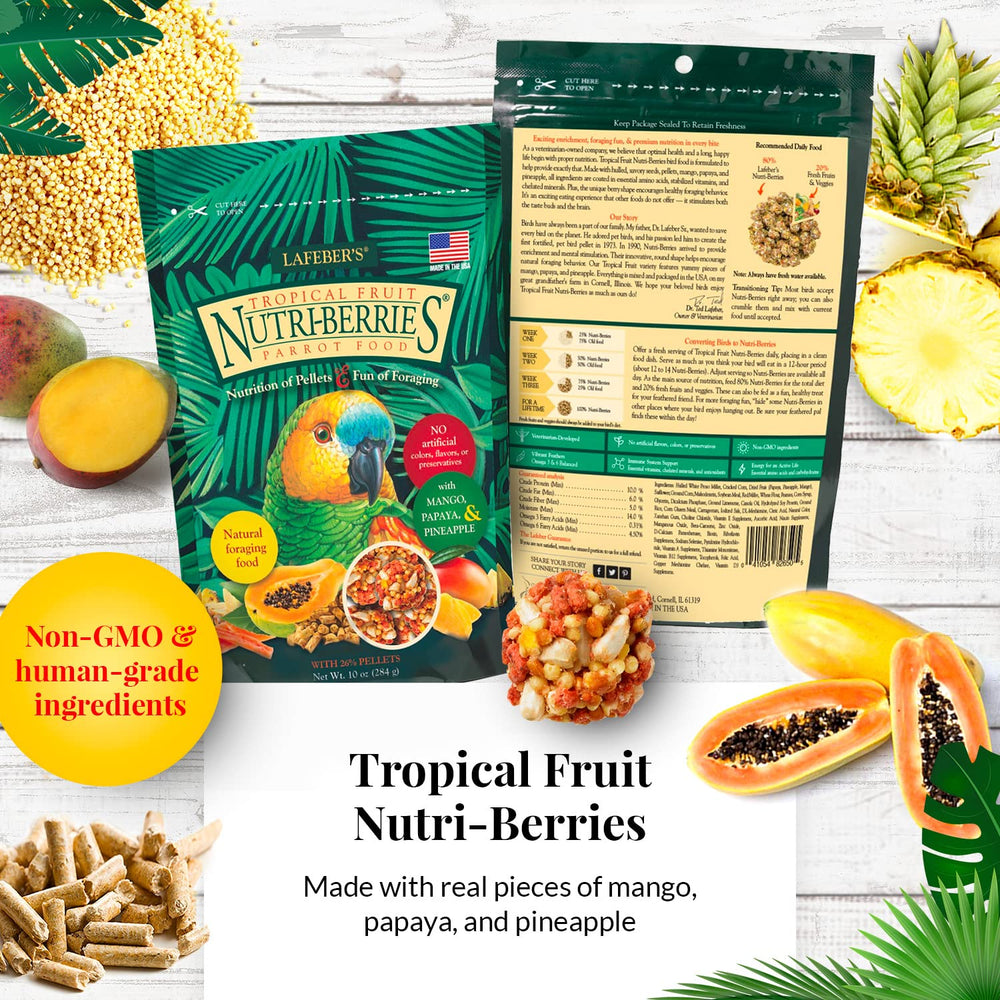 LAFEBER'S Nutri-Berries para loros, El Paso, estimular forraje diario.