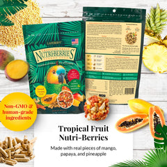 LAFEBER'S Nutri-Berries para loros, El Paso, estimular forraje diario.