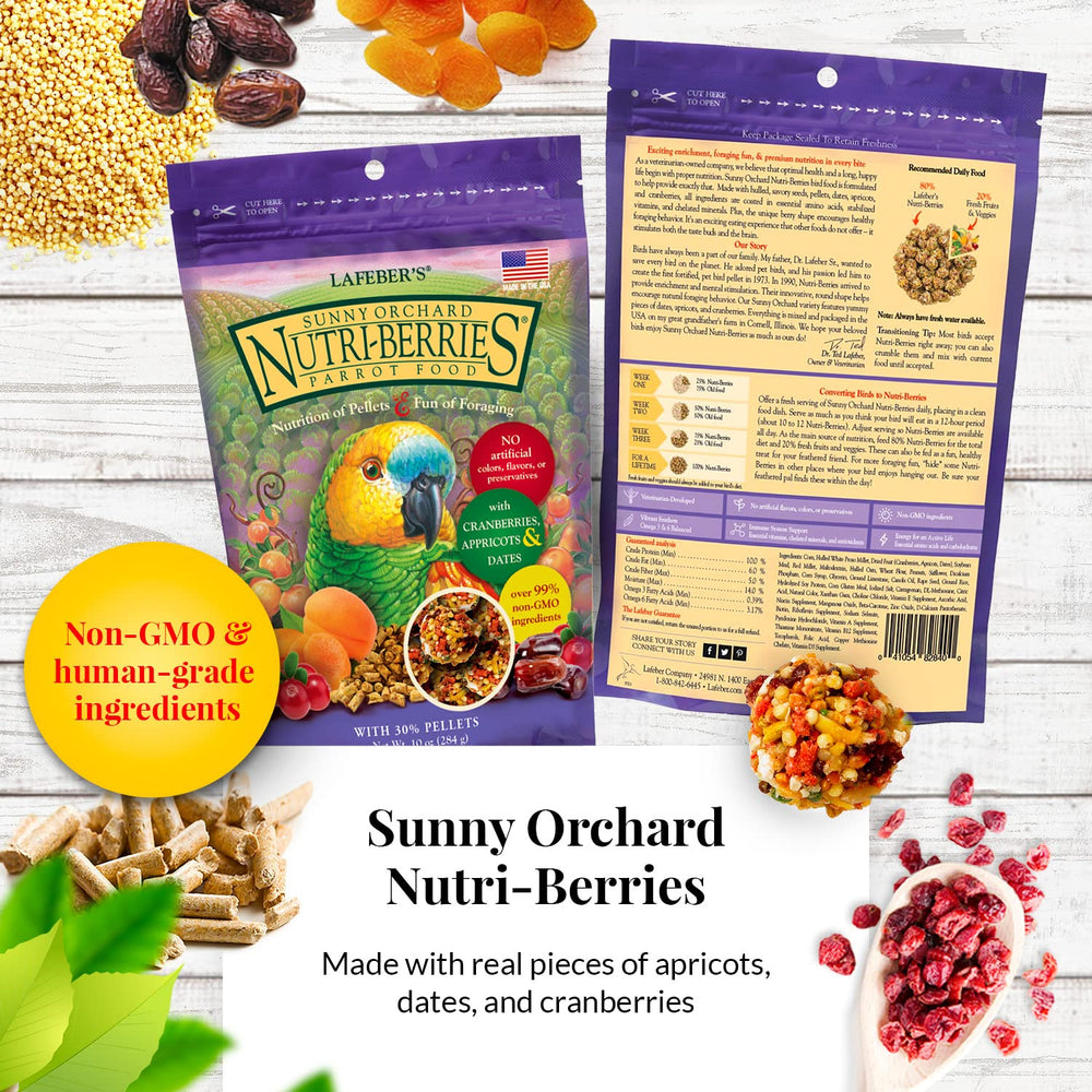 LAFEBER'S Nutri-Berries para loros, huerto soleado, arándanos y dátiles.