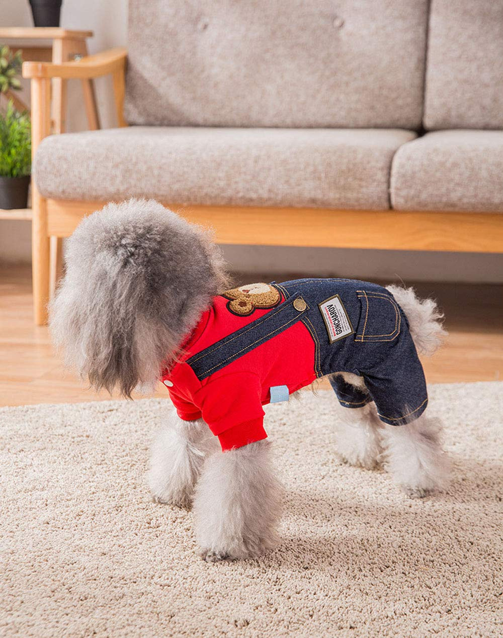 LaidaPets guía de tallas, muestra cómo elegir la talla correcta.