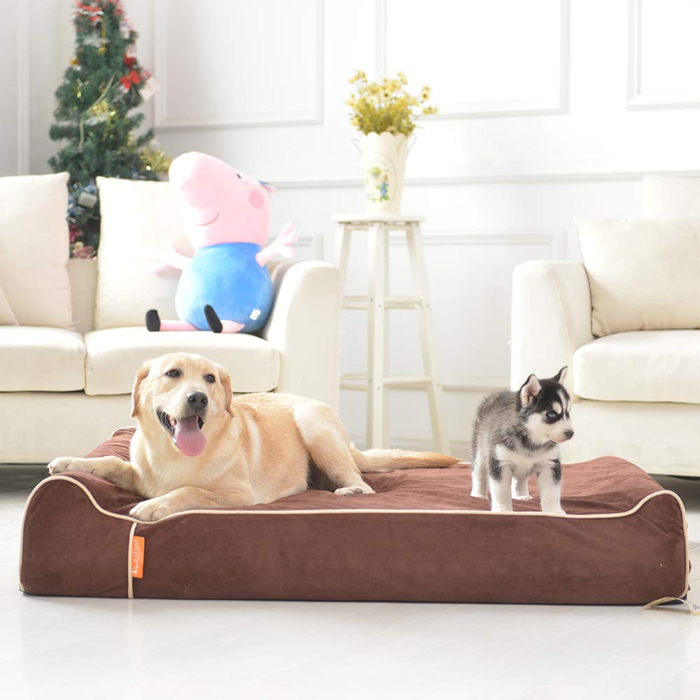 Laifug diseño práctico facilita descanso cómodo para cualquier perro.