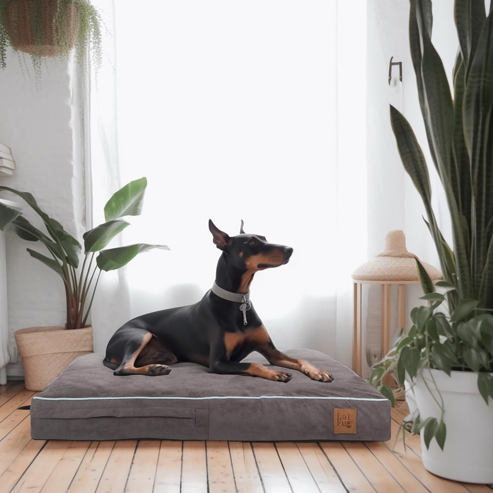 Perro descansando en la cama Laifug con soporte ortopédico.
