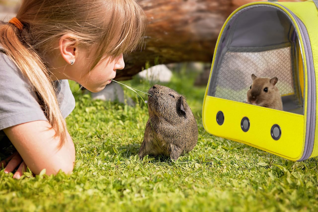 LAIRIES bolsa para mascotas verde negro y rosa para combinar estilo