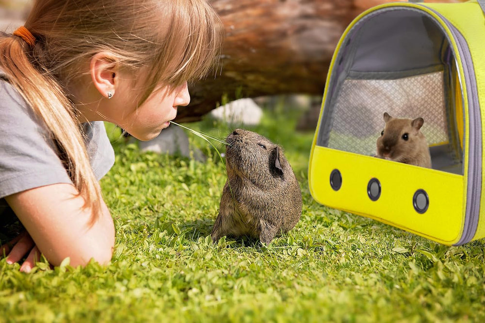 LAIRIES bolsa para mascotas verde negro y rosa para combinar estilo