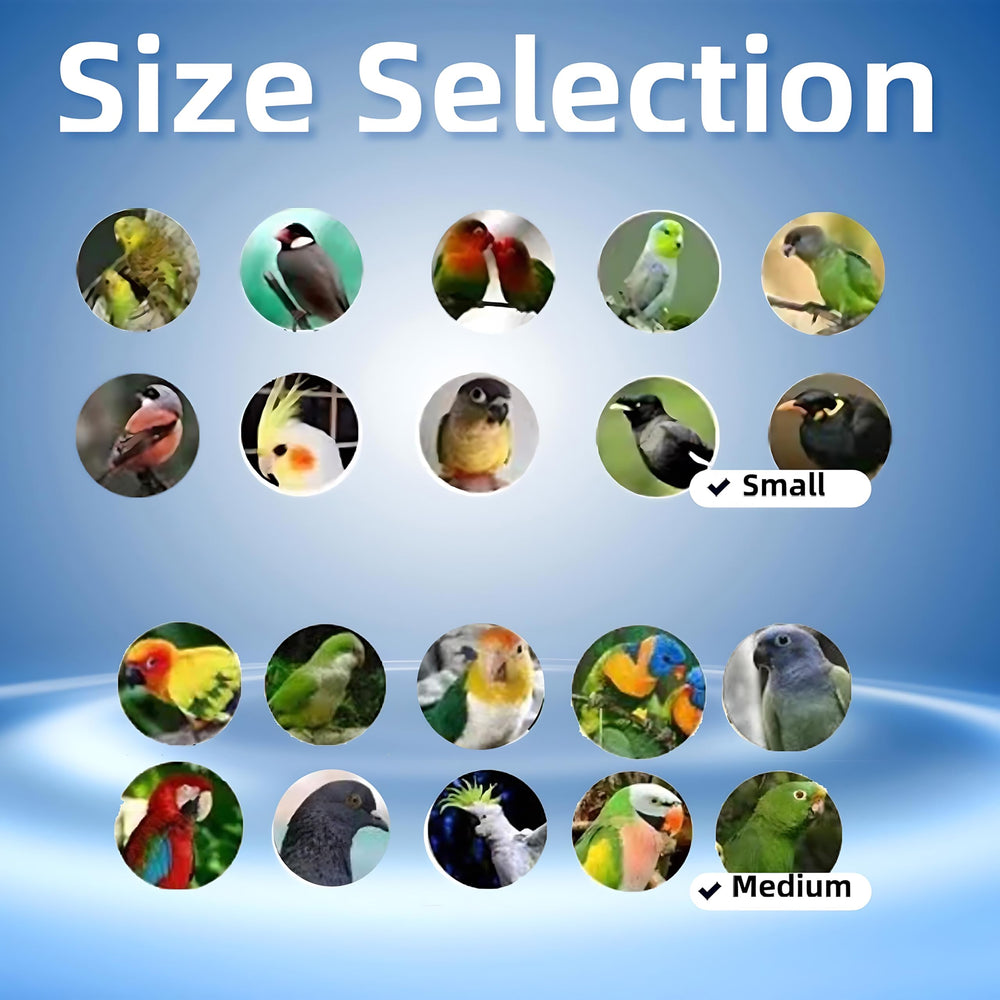Lamiaraga anillos para patas: compatibilidad segura para diferentes aves.