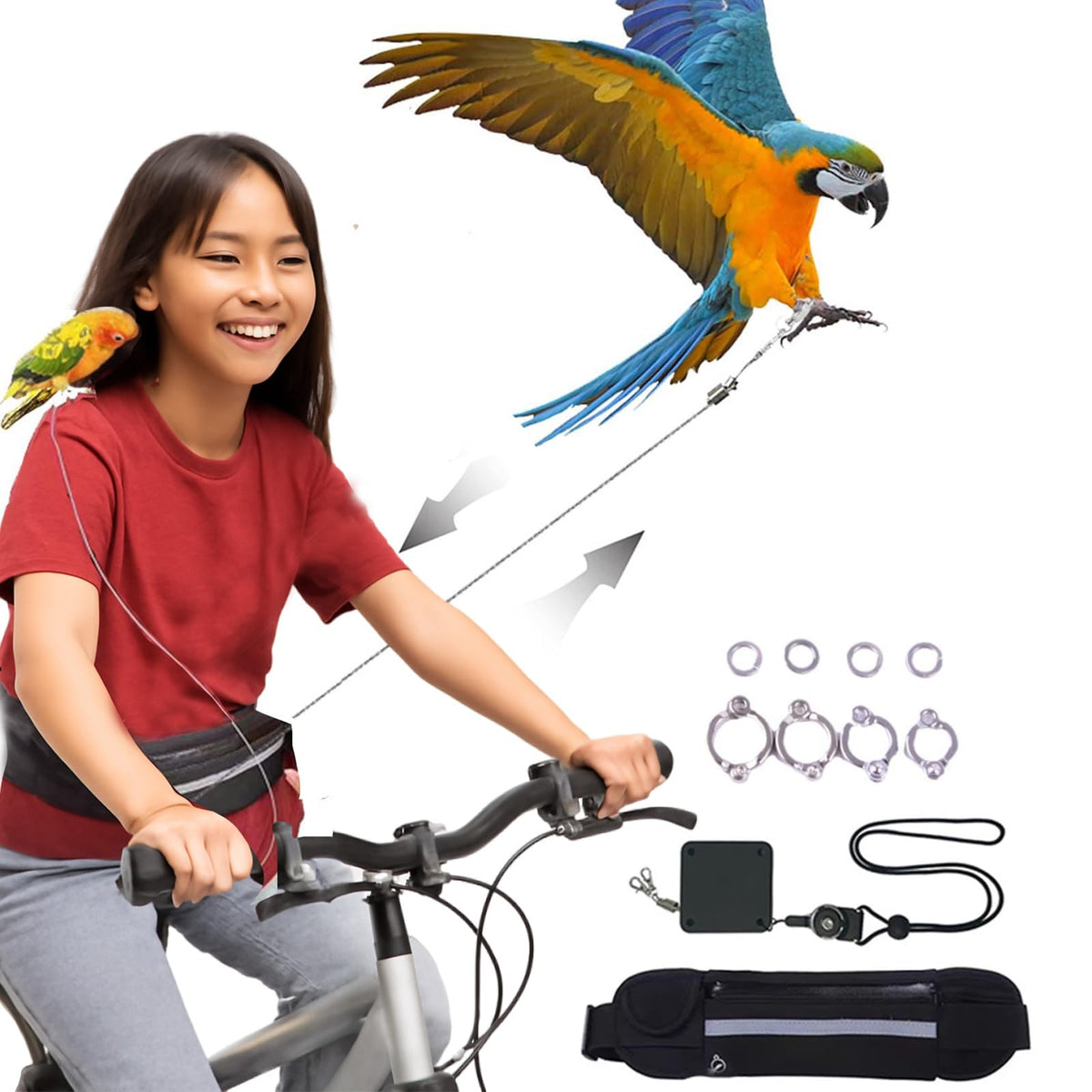 Lamiaraga arnés aves manos libres: control cómodo durante paseos al aire libre.